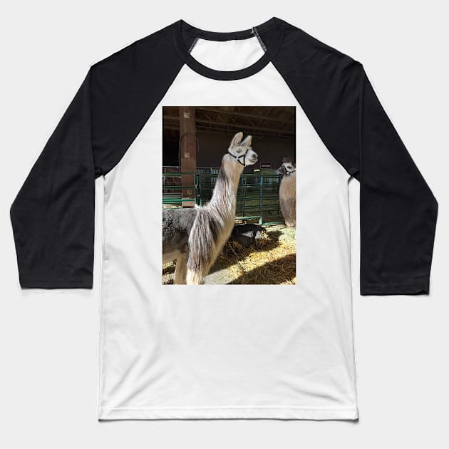 Llama Baseball T-Shirt by LittleLadyDesign